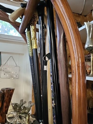 Walking stick