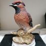 KK Japan Waxwing porcelain bird figurine Image 6