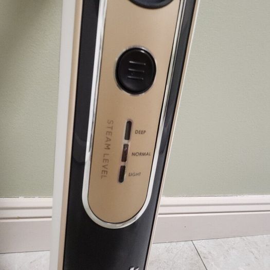 Steam and scrub mop