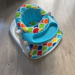 Fisher Price Seat
