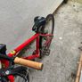 Frog Bike Image 3