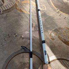 Abu Garcia Venerate V2-C Spinning Rod