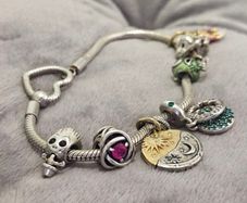 Pandora Charm Bracelet