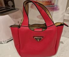 Pink Bag