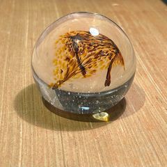 Art Glass Paperweight