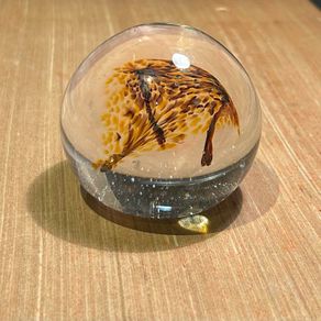 Art Glass Paperweight