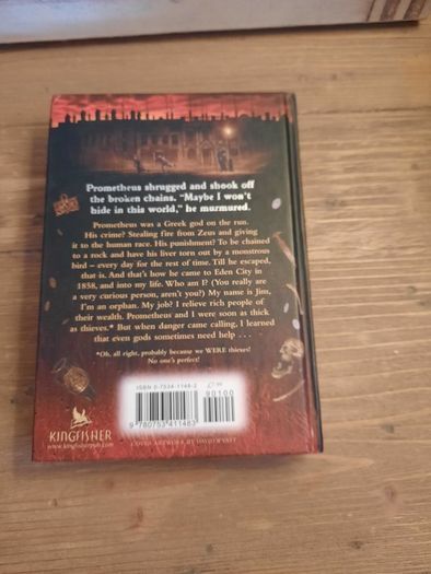 The Fire Thief Hardback, Reading Age 9-12