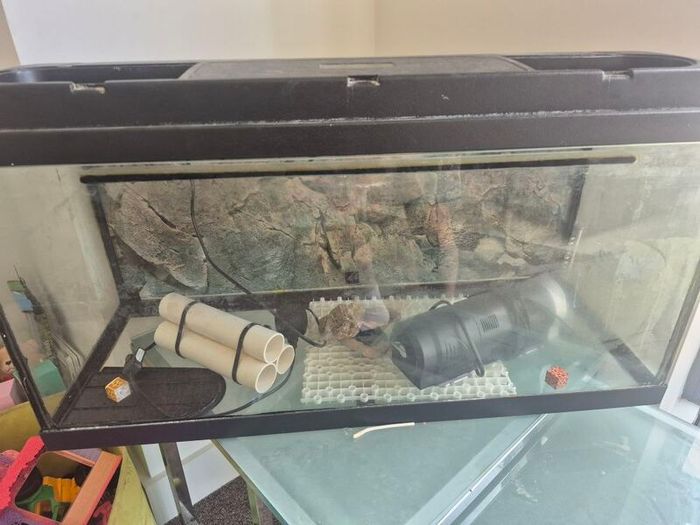 fish tank and filter