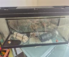 fish tank and filter