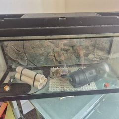 fish tank and filter