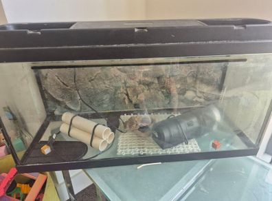 fish tank and filter