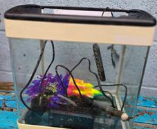 17L Aquarium including filter, heater and 3 decorations