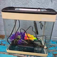 17L Aquarium including filter, heater and 3 decorations