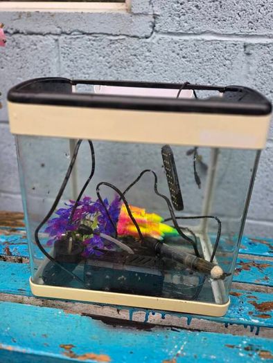 17L Aquarium including filter, heater and 3 decorations