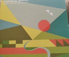 David Murphy Cuimhne Ghlinn Explorations in Irish music for pedal steel guitar lp