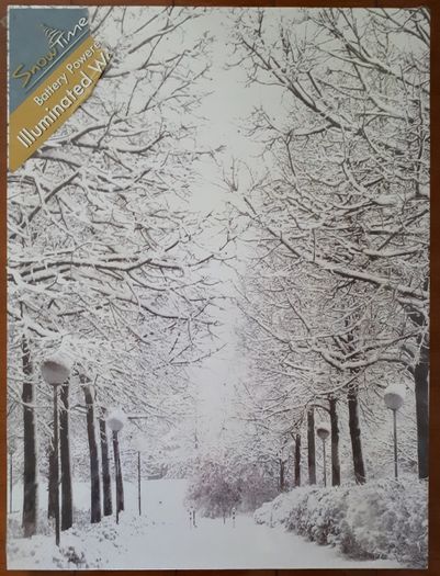 Winter Snow Scene with LED lights