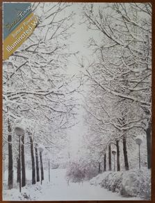 Winter Snow Scene with LED lights