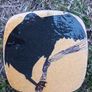 Artisan handmade wall plates Image 2
