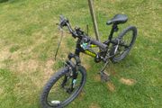 Ridgeback mx20