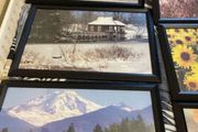 picture frames