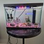 Complete Fish Tank Aquarium Set Heater, Filter, LED Light & Fish Food Included Image 3