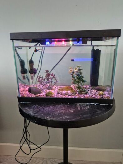 Complete Fish Tank Aquarium Set Heater, Filter, LED Light & Fish Food Included