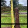 Pair of victorian wrought iron gates Image 5