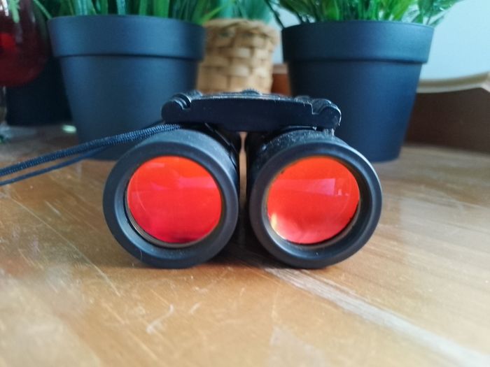 Vintage Minox BD 10x25 Compact Binoculars, German Precision Optics, Rare 99m/1000m Field of View,Folding Pocket Binoculars, Original Styling