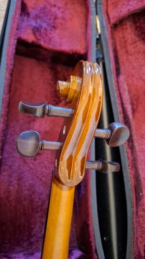Stentor 1 Student Violin