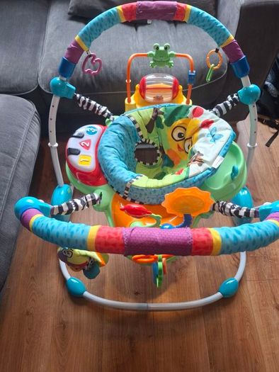Baby Einstein Neighbourhood Friends Activity Jumper