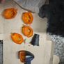parts suzuki bandit ,honda cbr 500 Image 6