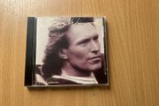 Steve Winwood - Chronicles