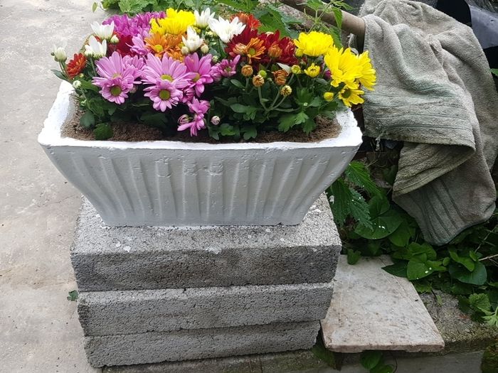 Flower Pot