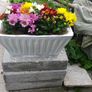 Flower Pot Image 9