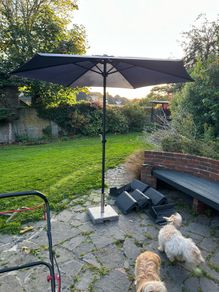 Parasol
