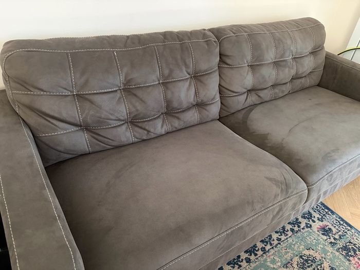 Harvey Norman Sofa