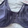 Triumph Bra Image 2