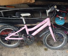 Girls Ridgeback bike