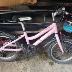 Girls Ridgeback bike