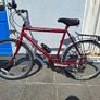 Men's mountain bike (21"/54cm) Image 7