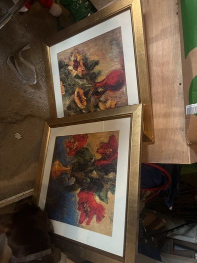 pictures