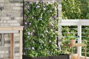 Garden Planter 2 pcs Brown 80 x 40 x 125.5 cm Steel
