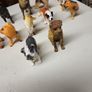 Dog collection Image 4
