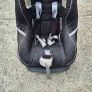 Britax car seat Image 4