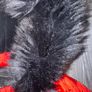 girls jacket Image 3