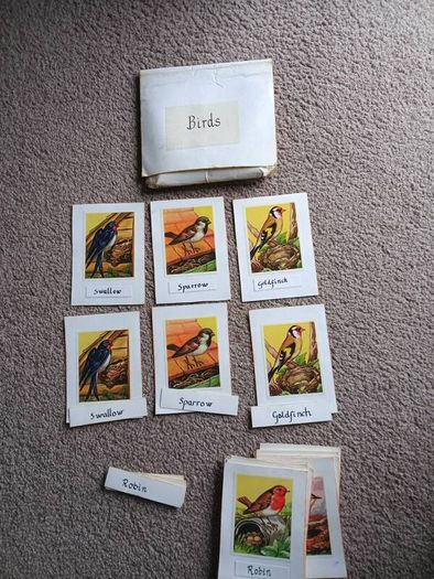 Montessori Matching Exercises