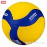 Mikasa Vt500w Heavy Ball Image 2