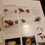 Growing Orchids/ The Complete Practical Guide to Orchids & Their Cultivation Image 7