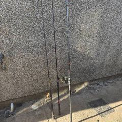 Selection of fishing rods