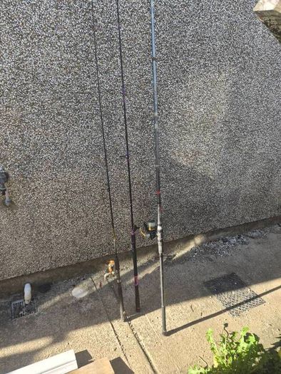 Selection of fishing rods